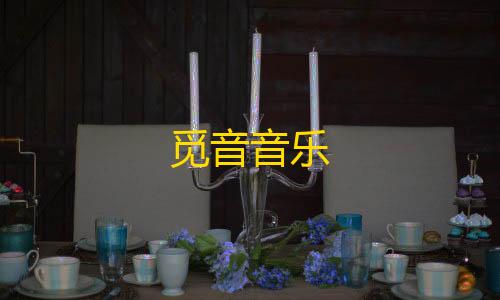 装备性价比分析觅音音乐